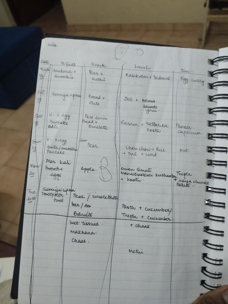 Vidya's handwritten meal plan