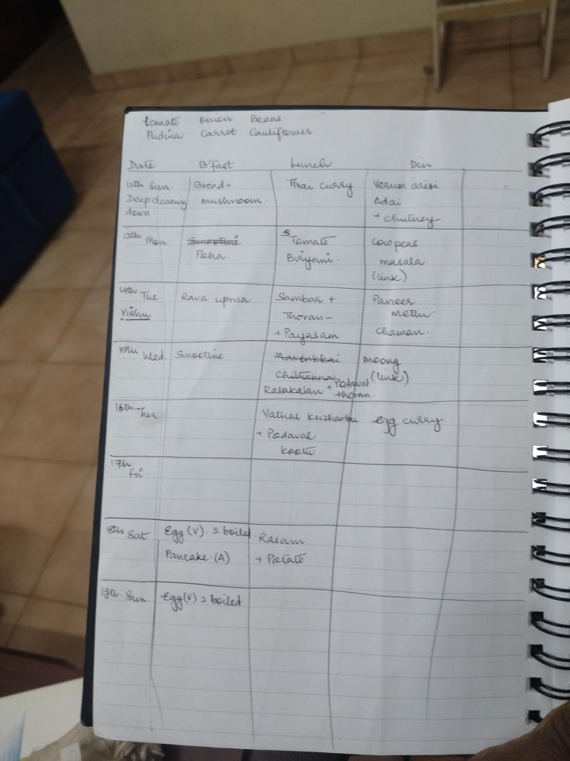Vidya's handwritten meal plan