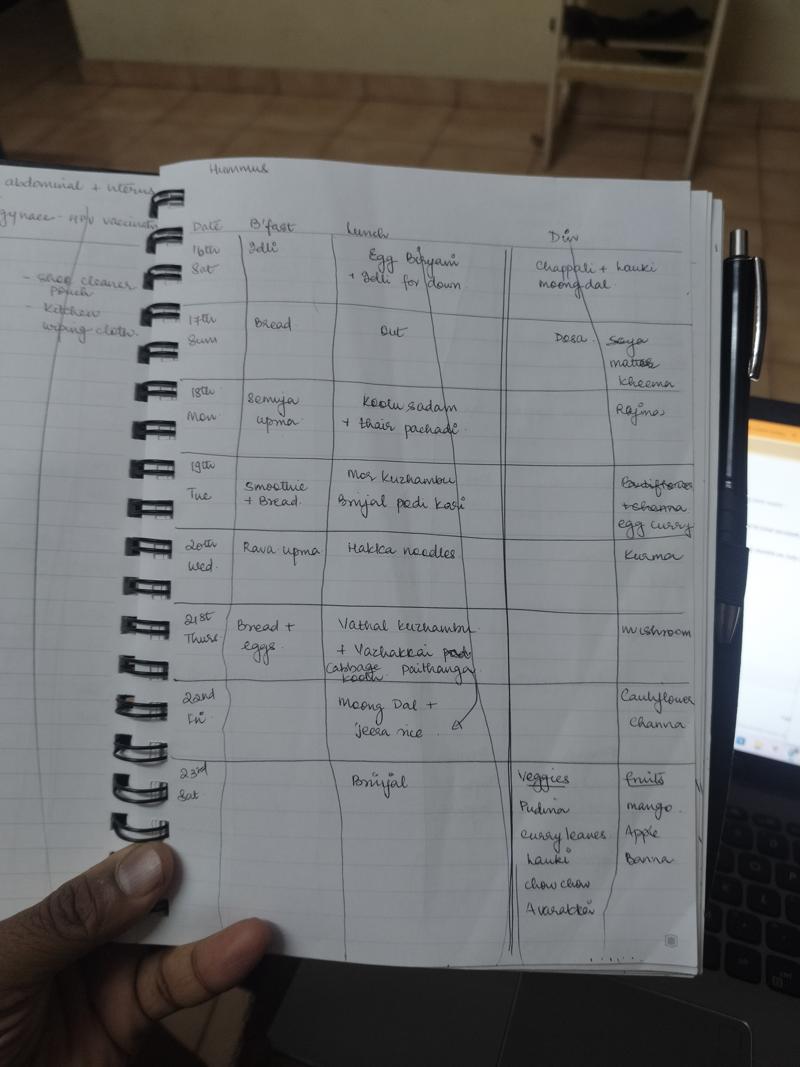 Vidya's handwritten meal plan